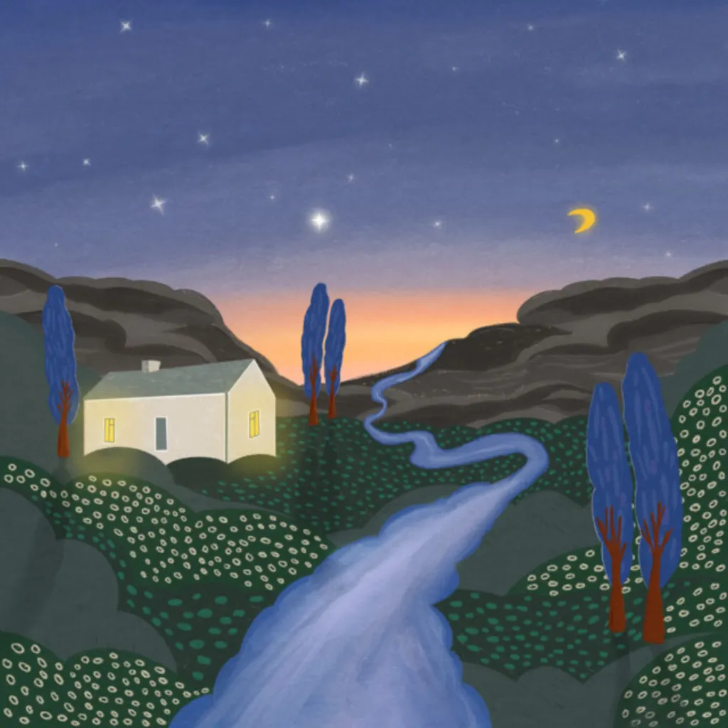 Cover art for hjemve